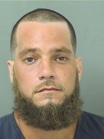  BRIAN PATRICK FERNANDES Results from Palm Beach County Florida for  BRIAN PATRICK FERNANDES