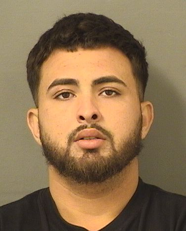  ZACHARY TAYLOR AUSTIN Results from Palm Beach County Florida for  ZACHARY TAYLOR AUSTIN