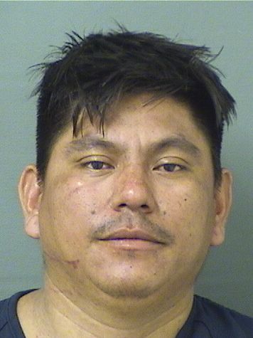  LUIS HERNANDEZALVARO Resultados de la busqueda para Palm Beach County Florida para  LUIS HERNANDEZALVARO