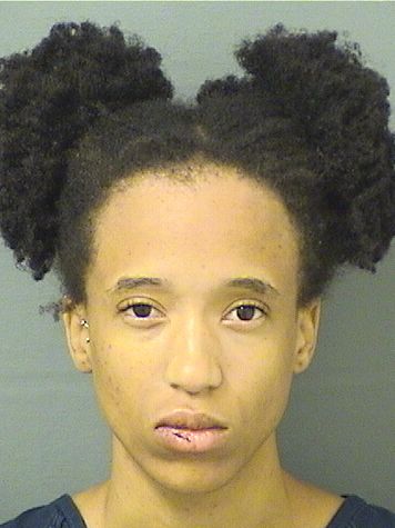  CAMILLE SPRINGER Results from Palm Beach County Florida for  CAMILLE SPRINGER