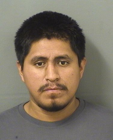  FELIPE FRANCISCO Results from Palm Beach County Florida for  FELIPE FRANCISCO