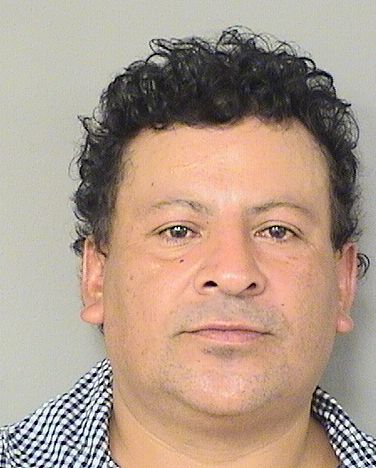  FEDERICO SANCHEZRAMIREZ Results from Palm Beach County Florida for  FEDERICO SANCHEZRAMIREZ