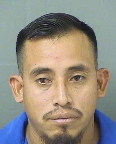  GONZALEZ DIEGO JOSE Results from Palm Beach County Florida for  GONZALEZ DIEGO JOSE