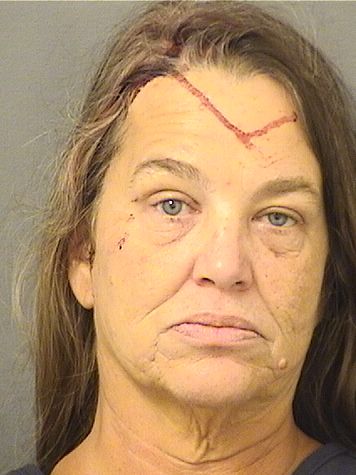  DAWN MICHELLE DIVINE Resultados de la busqueda para Palm Beach County Florida para  DAWN MICHELLE DIVINE