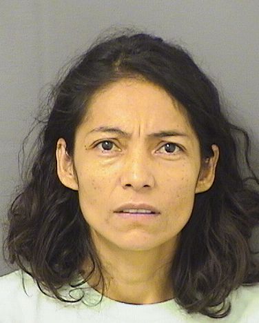  ARELY R ORTIZ Results from Palm Beach County Florida for  ARELY R ORTIZ