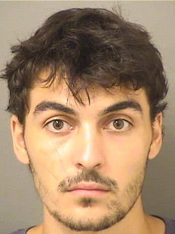  PETER LUCIC Resultados de la busqueda para Palm Beach County Florida para  PETER LUCIC