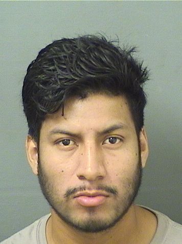  BRIAN MAZARIEGOSSOTO Resultados de la busqueda para Palm Beach County Florida para  BRIAN MAZARIEGOSSOTO