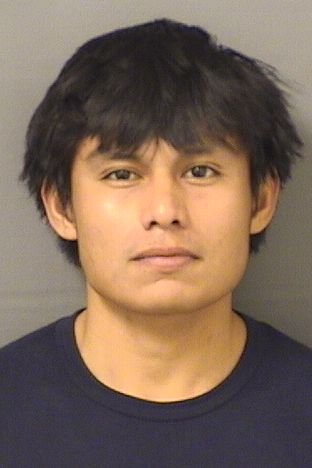  CHRISITAN JAVIER DOMINGOLOPEZ Results from Palm Beach County Florida for  CHRISITAN JAVIER DOMINGOLOPEZ