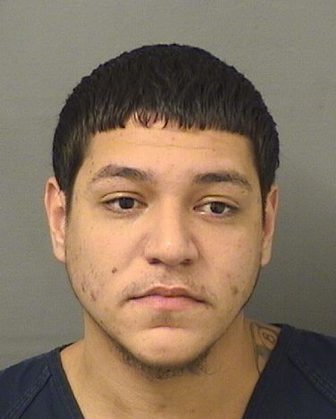 JUAN CARLOS FONTANEZRAMOS Results from Palm Beach County Florida for JUAN CARLOS FONTANEZRAMOS JUAN CARLOS FONTANEZRAMOS Results from Palm Beach County Florida for JUAN CARLOS FONTANEZRAMOS