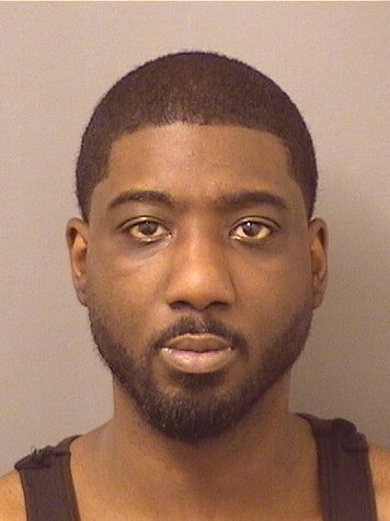  PETER RICK GEORGE Results from Palm Beach County Florida for  PETER RICK GEORGE