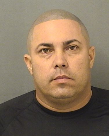  LUIS L VICET Results from Palm Beach County Florida for  LUIS L VICET