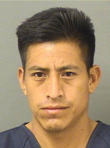  BELISARIO MENDOZASANCHEZ Results from Palm Beach County Florida for  BELISARIO MENDOZASANCHEZ