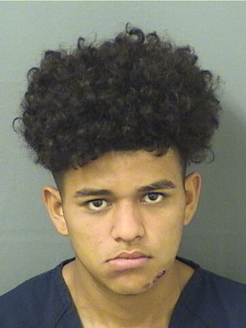  RENI CONTRERAS Results from Palm Beach County Florida for  RENI CONTRERAS