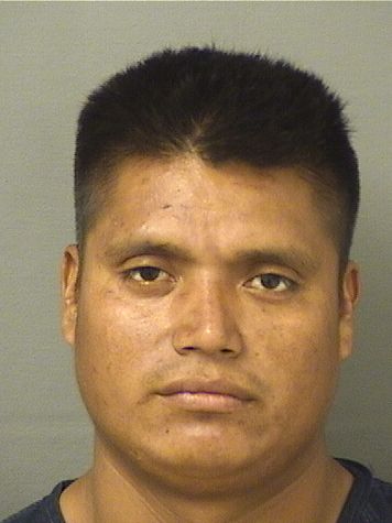  FRANCISCO DARIO RAMIREZ Results from Palm Beach County Florida for  FRANCISCO DARIO RAMIREZ