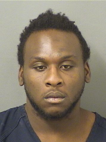  DAVIDWARREN HERNANDEZ Results from Palm Beach County Florida for  DAVIDWARREN HERNANDEZ