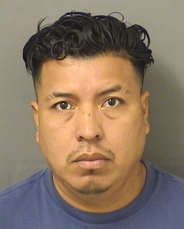  CARLOS ENRIQUE PEREZJUAREZ Results from Palm Beach County Florida for  CARLOS ENRIQUE PEREZJUAREZ