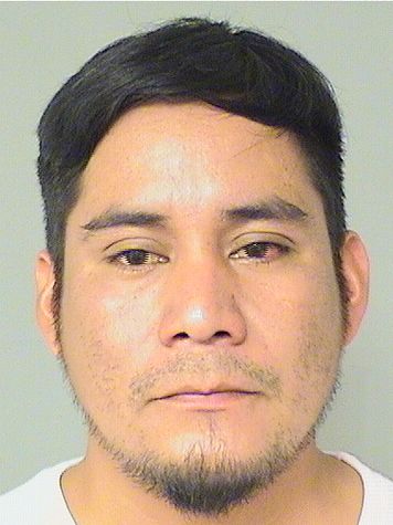  JULIO HERNANDEZ Results from Palm Beach County Florida for  JULIO HERNANDEZ