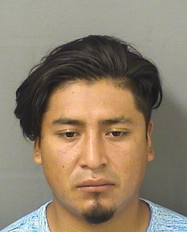  LUIS BAMACAOROZCO Results from Palm Beach County Florida for  LUIS BAMACAOROZCO