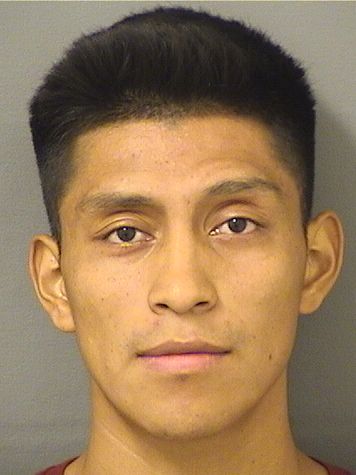  EDI ESTUARDO TUMJACOBO Results from Palm Beach County Florida for  EDI ESTUARDO TUMJACOBO