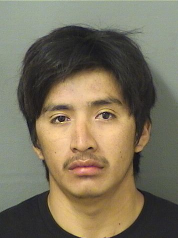 MARCO ANTONIO GONZALEZMATUL Results from Palm Beach County Florida for MARCO ANTONIO GONZALEZMATUL MARCO ANTONIO GONZALEZMATUL Results from Palm Beach County Florida for MARCO ANTONIO GONZALEZMATUL