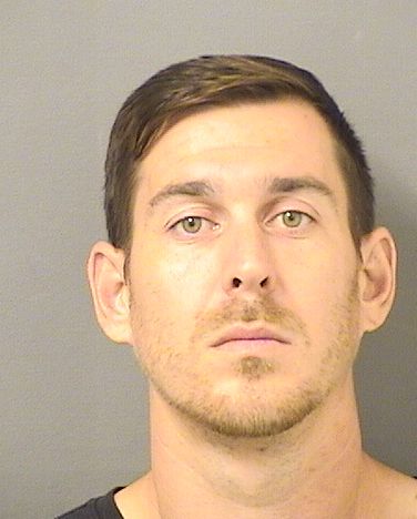  DAVID ANDREW HONAKER Results from Palm Beach County Florida for  DAVID ANDREW HONAKER