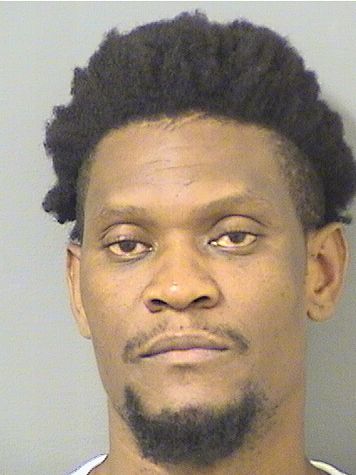  LEVENS NICOLAS Results from Palm Beach County Florida for  LEVENS NICOLAS