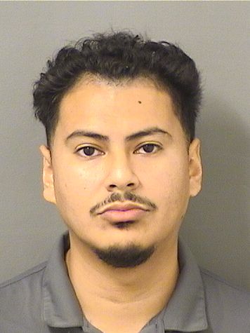  DANIEL FRANCESCO MASSOTT Resultados de la busqueda para Palm Beach County Florida para  DANIEL FRANCESCO MASSOTT