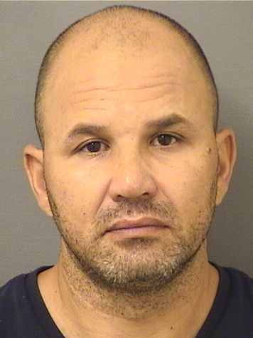  MARCO LACERDA Results from Palm Beach County Florida for  MARCO LACERDA