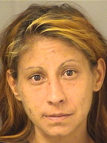  ALINA KATHERINE DEMARCHI Results from Palm Beach County Florida for  ALINA KATHERINE DEMARCHI