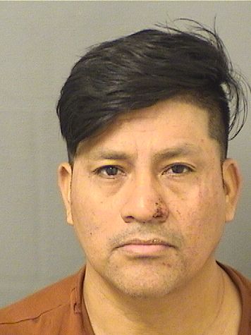  SIMON RAMONPEDRO Photo For  SIMON RAMONPEDRO