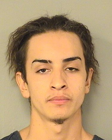  LEX MASONMORALES SEARS Results from Palm Beach County Florida for  LEX MASONMORALES SEARS