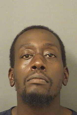  RASHAWN M HUDSON Results from Palm Beach County Florida for  RASHAWN M HUDSON