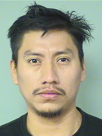 ROBIN RONEIRY HERNANDEZPEREZ Results from Palm Beach County Florida for  ROBIN RONEIRY HERNANDEZPEREZ