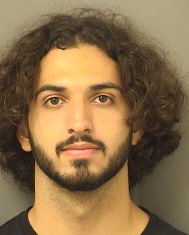  CHRISTOFER BRADFORDCRINCO PIEDRA Results from Palm Beach County Florida for  CHRISTOFER BRADFORDCRINCO PIEDRA