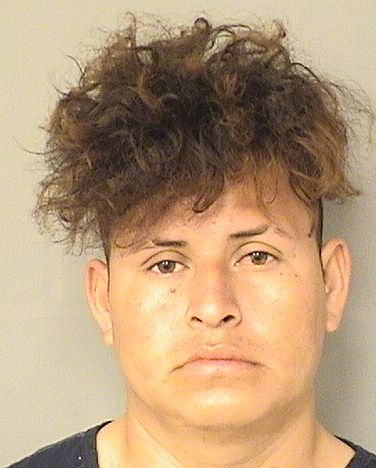  LEODAN GERONIMODOMINGO Results from Palm Beach County Florida for  LEODAN GERONIMODOMINGO