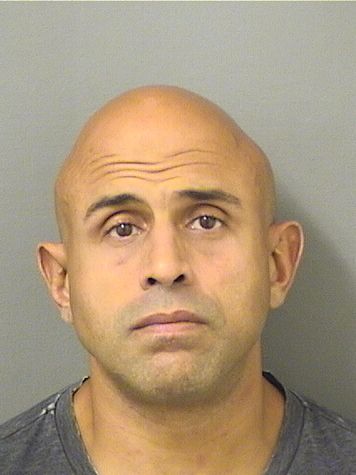  NELSON R SANTANA Results from Palm Beach County Florida for  NELSON R SANTANA