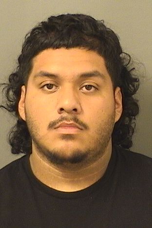  MIGUEL ANGEL PIZANO Resultados de la busqueda para Palm Beach County Florida para  MIGUEL ANGEL PIZANO