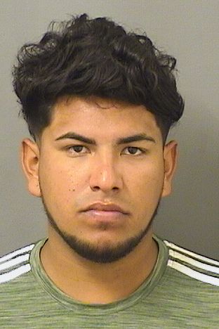  ALEXANDER OMAR CRUZMARTINEZ Results from Palm Beach County Florida for  ALEXANDER OMAR CRUZMARTINEZ