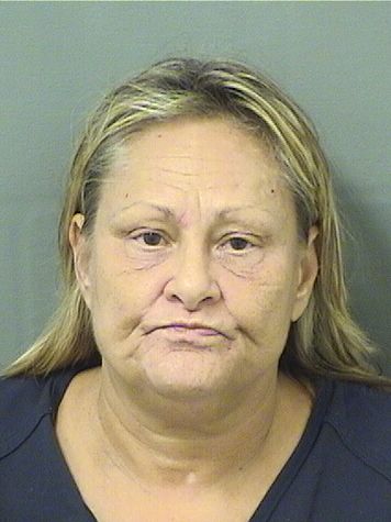  DEBORA ANN MAYHOOK Results from Palm Beach County Florida for  DEBORA ANN MAYHOOK