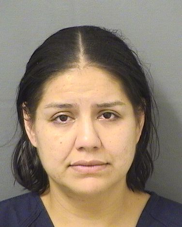  JOHANNA SANCHEZ Results from Palm Beach County Florida for  JOHANNA SANCHEZ