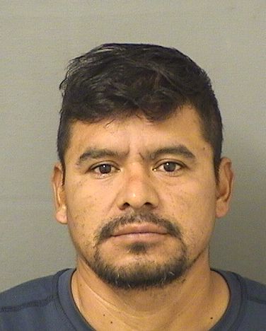  FELIPE GONZALEZ RAYMUNDOMARCOS Results from Palm Beach County Florida for  FELIPE GONZALEZ RAYMUNDOMARCOS