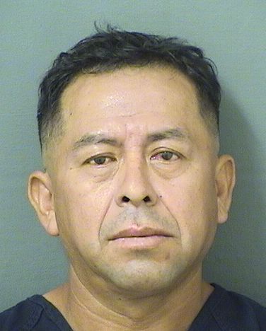  SALOMON LOPEZHERNANDEZ Results from Palm Beach County Florida for  SALOMON LOPEZHERNANDEZ