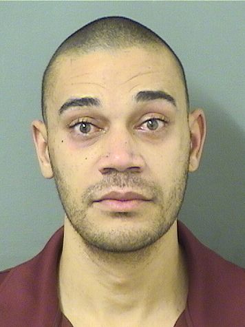  BRYSON TYLER REBETA Results from Palm Beach County Florida for  BRYSON TYLER REBETA