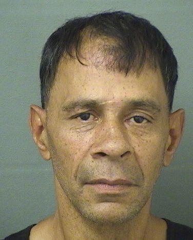  JOSE VALENTIN Results from Palm Beach County Florida for  JOSE VALENTIN