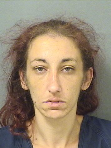  SARAH ELIZABETH MIDGLEY Results from Palm Beach County Florida for  SARAH ELIZABETH MIDGLEY