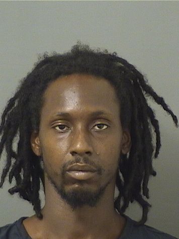  DARRIN JAMES ALEXANDER Results from Palm Beach County Florida for  DARRIN JAMES ALEXANDER