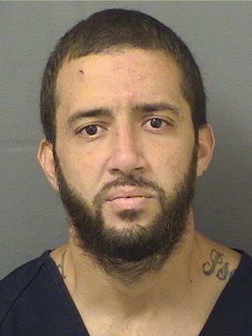  BRIAN ALEXANDER BALLESTEROS Results from Palm Beach County Florida for  BRIAN ALEXANDER BALLESTEROS
