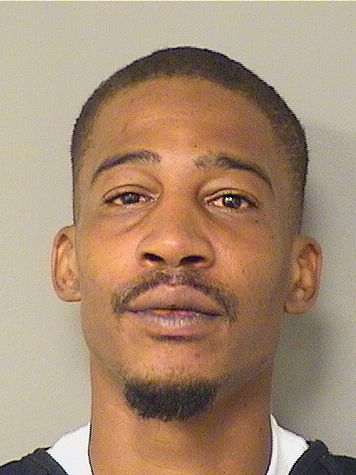  CHRISTOPHER WHITE Results from Palm Beach County Florida for  CHRISTOPHER WHITE