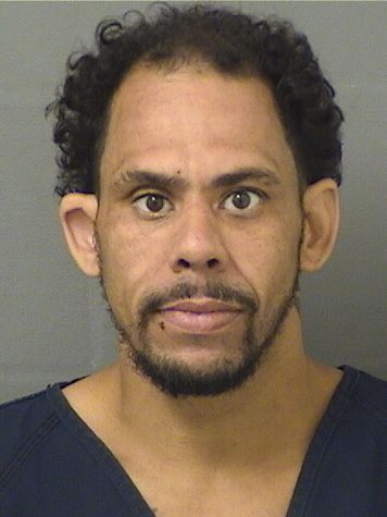  MICHAEL ANTHONY VALDEZ Results from Palm Beach County Florida for  MICHAEL ANTHONY VALDEZ