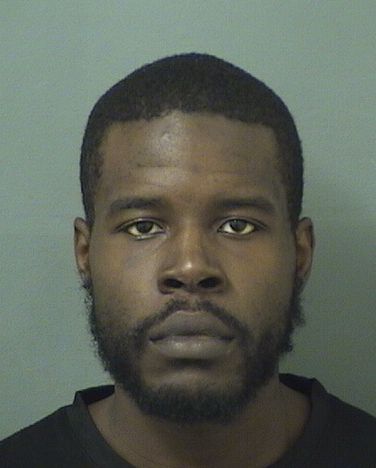  AMEDSON NOEL JANVIER Results from Palm Beach County Florida for  AMEDSON NOEL JANVIER